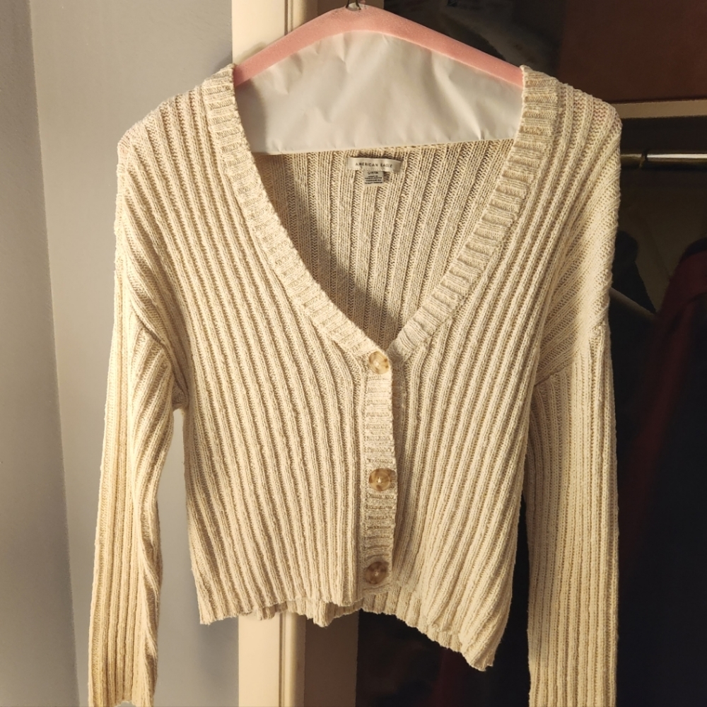 American Eagle Sweater
